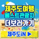 까멜리아in선녀가나무꾼