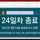 파란코끼리