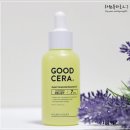 굳세라 | 홀리카홀리카 굳세라 에센셜오일 완전 솔직후기