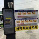 자이 자동차세상 이미지