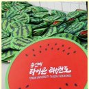 위례 용인대타이곤태권도장 이미지