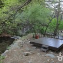 오도산자연휴양림 이미지