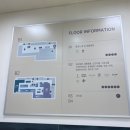 롯데프레시월계점 | 이마트 청계천점 | 시장조사 / 매장방문 후기 1탄 (오후 7시 이후 마감세일가격 확인💰💸)