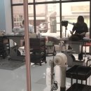 그루밍공화국 이미지