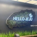 빵빵카 | 제주 렌트카 추천 내돈내산 완전자차 해피렌트카 올뉴아반떼 후기