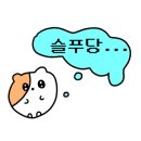 오아시스한증막 이미지