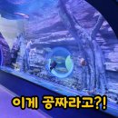 오뚜기어린이공원 | 이게 왜 공짜? 올해 까지만 무료인 충주 아쿠아리움