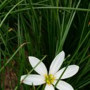 곰솔농장 이미지