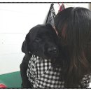 독한고양이애견전문샵 이미지