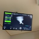 옥천매일약국 | [임신 5-6주차] 아기집 확인 임산부뱃지 임신초기 비행기 단축근무신청서 양식