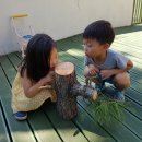 솔향기어린이집 이미지