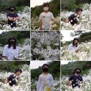 구절초막걸리 펜션 이미지