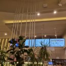 모현동-39 이미지