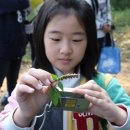 봉일천초등학교 이미지