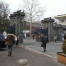 다이소 건너편 횡단보도 이미지