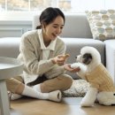 청담동물병원 이미지