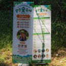 이동신 축사 | 1년에 딱 한 번 열리는 2025 광릉숲 축제 미리 보기