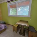 숲속의 계곡 이미지