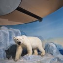 서천생태공원 이미지