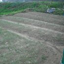 봉학농장 이미지