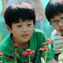 부산리 농장 이미지