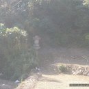 무위사 주차장 이미지