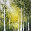 자작나무 숲 이미지