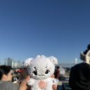 광안리 불꽃축제 이미지