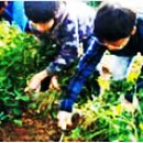 서해농장 이미지