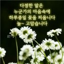 💟 반근착절 💟(코로나 사태에 즈음하여) 이미지