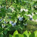 서산한성필공인중개사사무소 이미지