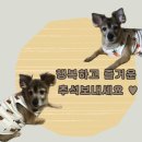 커피사피엔스일산웨스턴돔점