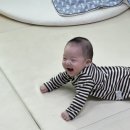 브뤼셀프라이 이미지