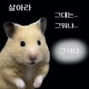 유니끄 네이버블로그