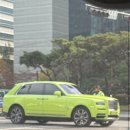 장미카센타 이미지