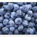 주식회사 비앤티 이미지