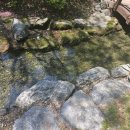 황금마차마을 이미지