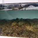 창해물회 식당 | 대구북구맛집 창해 가족식사로 즐긴 신선한 회 한상 후기