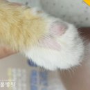 영대동물병원 이미지