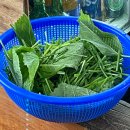 해용농장2 이미지