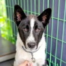 동해대로1 이미지