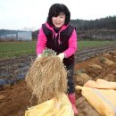 하나3농 이미지