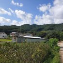 부동산지킬박사공인중개사사무소 네이버블로그