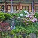 은초롱펜션 이미지