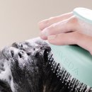 촘촘 스칼프 이미지