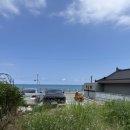 금진민박 | [강릉/숙소후기] 테라머뭄 머뭄2호 내돈내산 숙박 솔직후기 오션뷰 독채펜션_N년 만의 4인 가좍여행