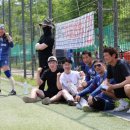 안양새물공원 축구장 이미지