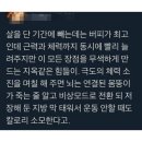 익스트림에스 이미지