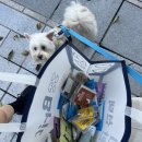 참솔 주식회사 이미지