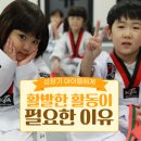 국가대표 스페셜태권도장 이미지